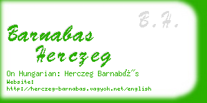 barnabas herczeg business card